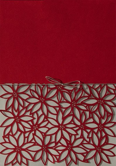 Detailed Poinsettias