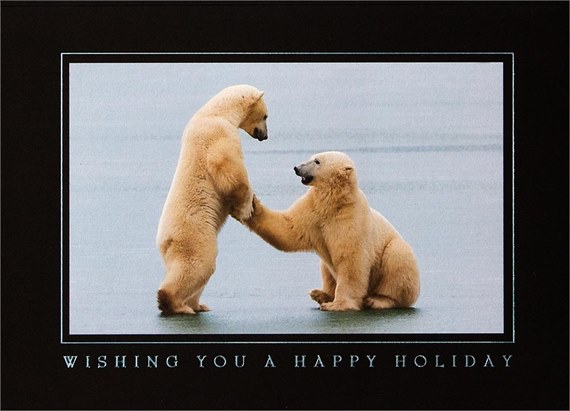 Polar Bear Greetings