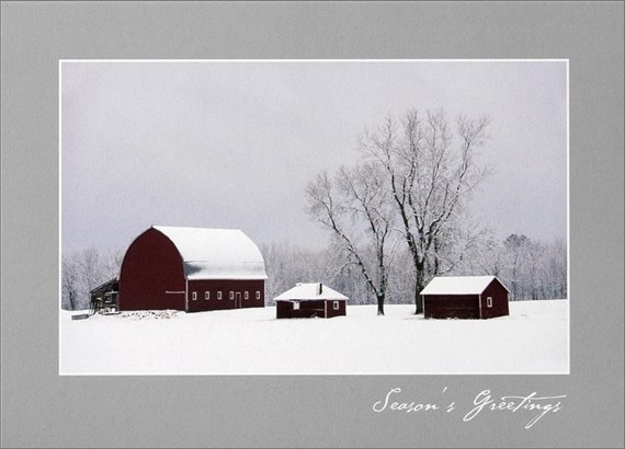 On The Farm