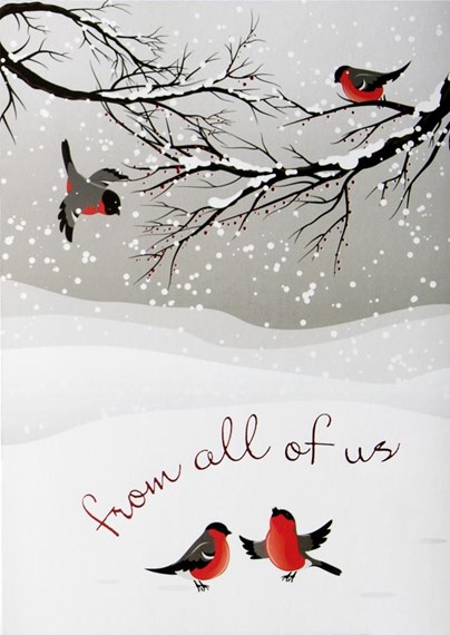 From All Of Us Birds