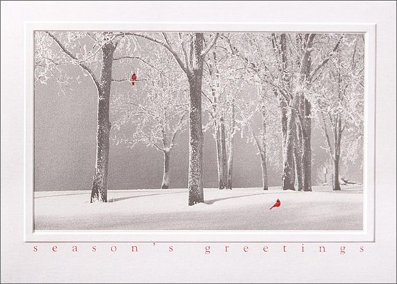 Snow Landscape Christmas