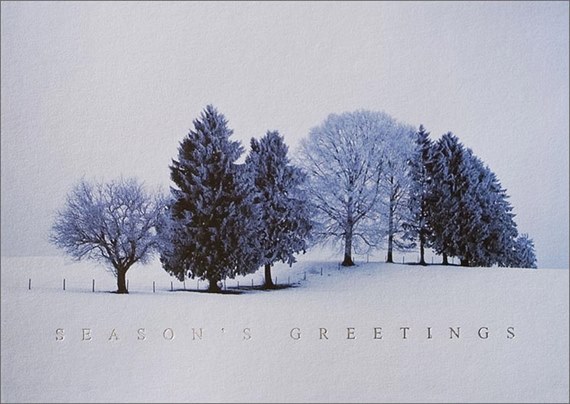 Snowy Landscape Holiday Card