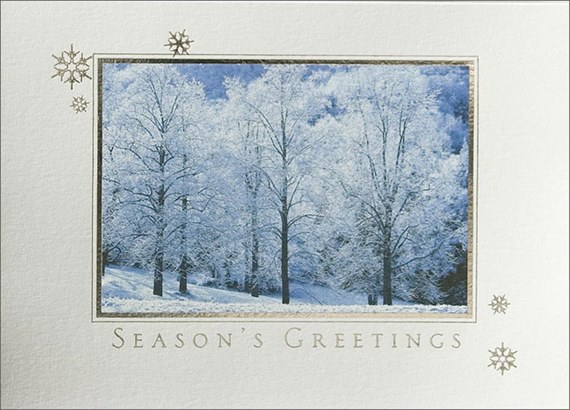 Winter Landscape Holiday Card