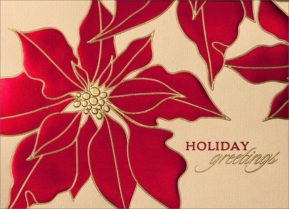 Gold Lined Poinsettia