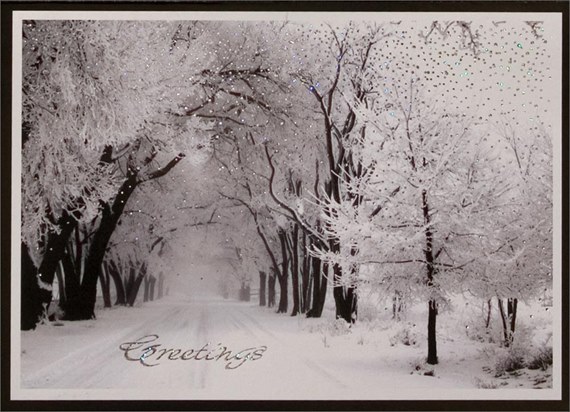 Snowy Greetings