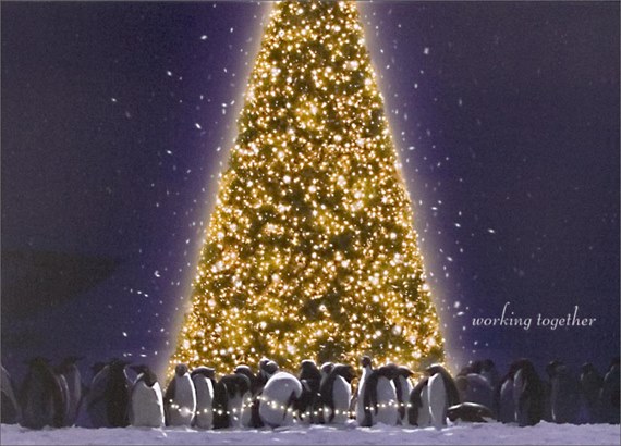 Penguins Working Together