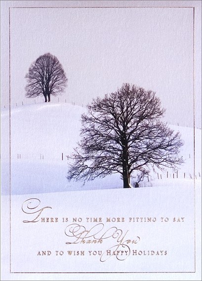 Pleasant Winter Appreciation