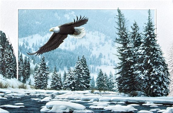 Flying Free