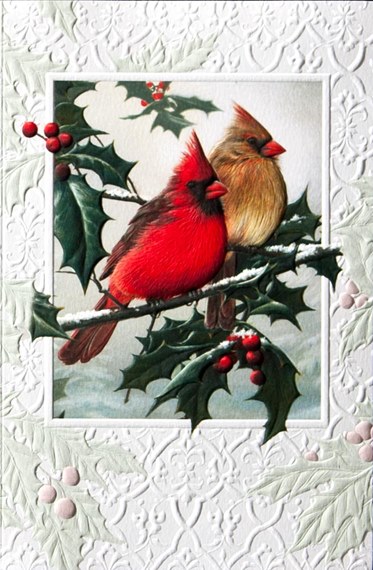 Christmas Cardinals