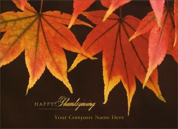Hanging Maple Leaves
