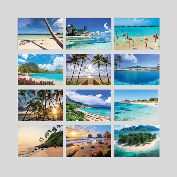 tropical landscape photo collage