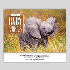 Baby Wildlife Spiral Wall Calendar