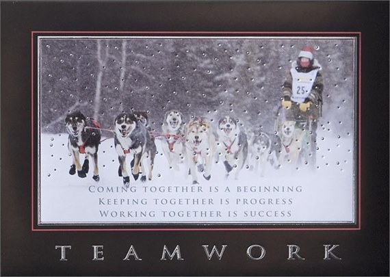 Dog Sled Race Teamwork